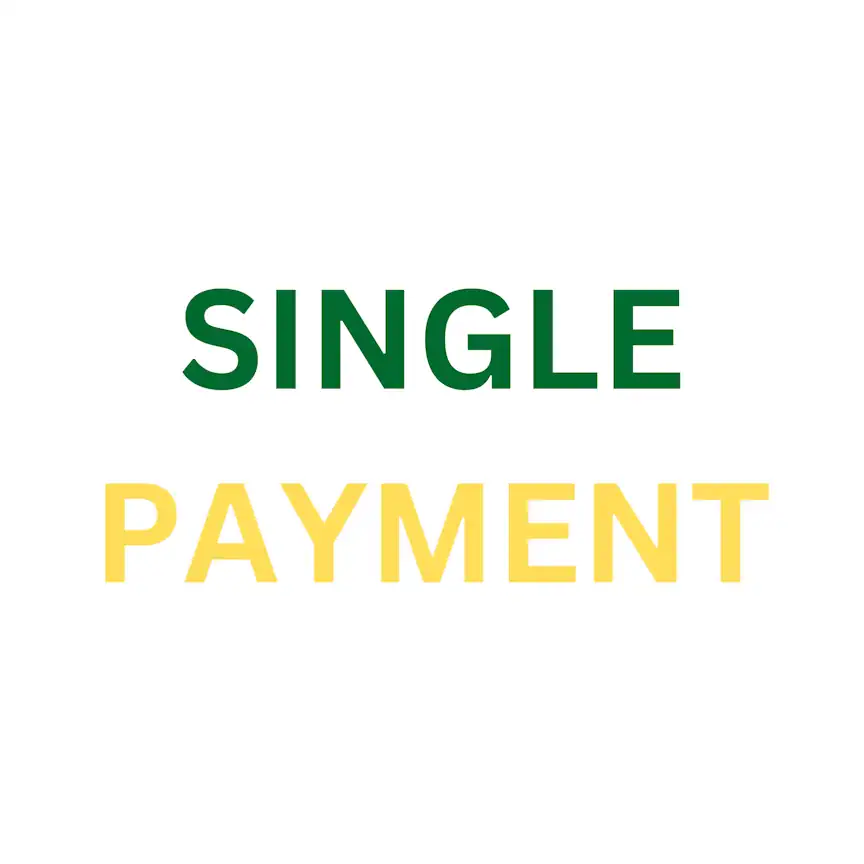 Single Payment Logo
